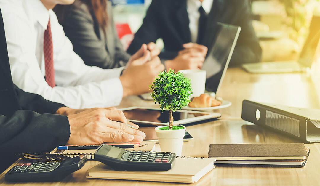 La sostenibilidad como garante del éxito de las organizaciones