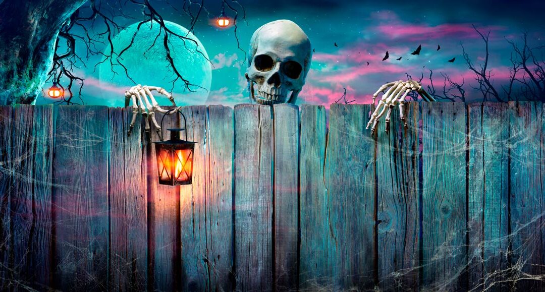 ¡Que no te de miedo este Halloween!