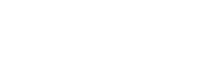 Logo bci