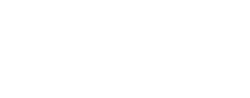 Logo enami