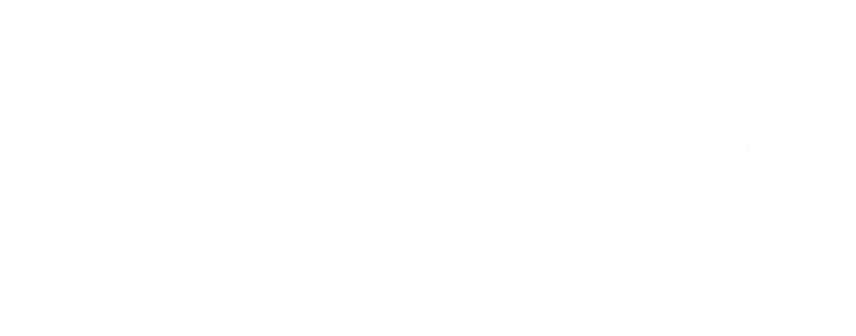 Logo enel