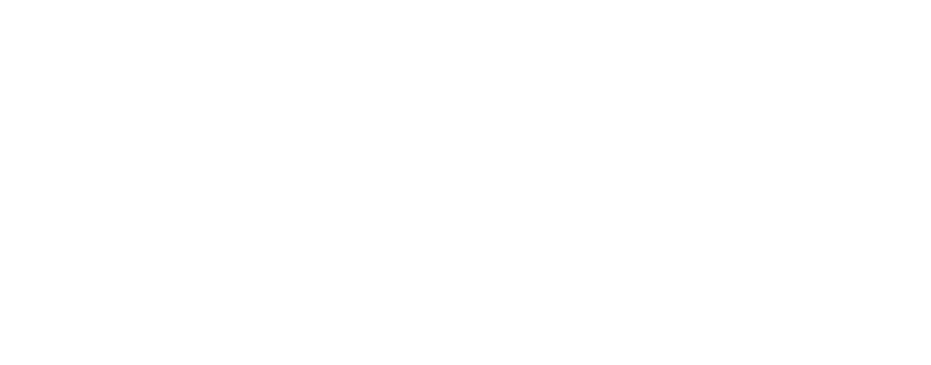 Logo transelec