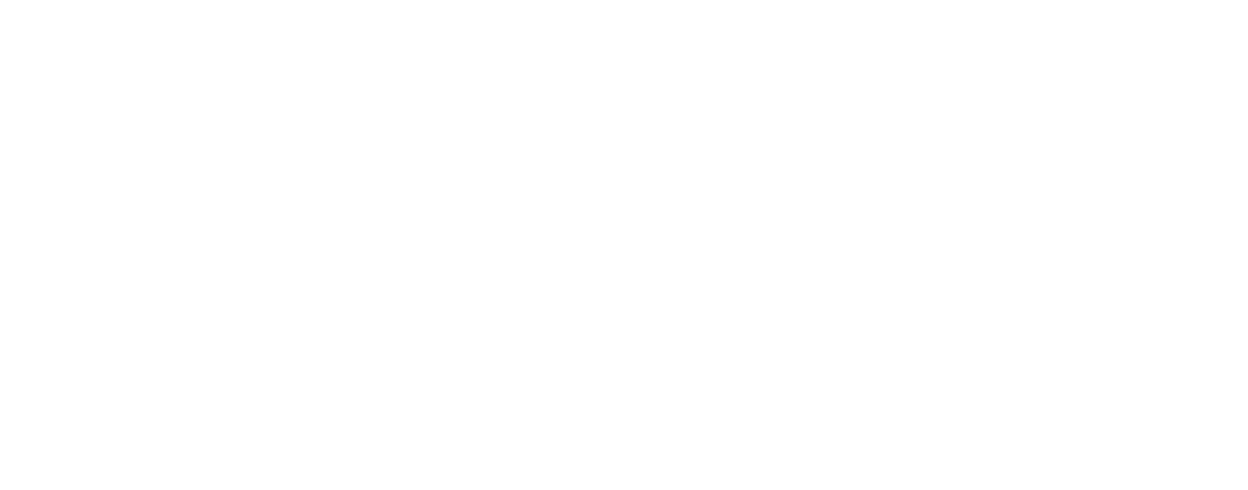 Logo chilexpress