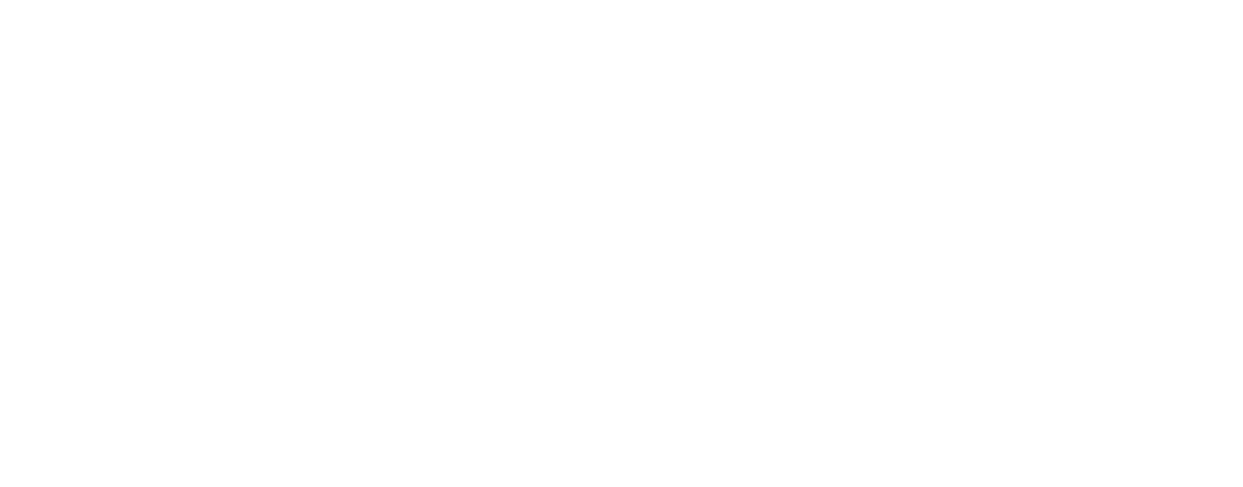 Logo tsm