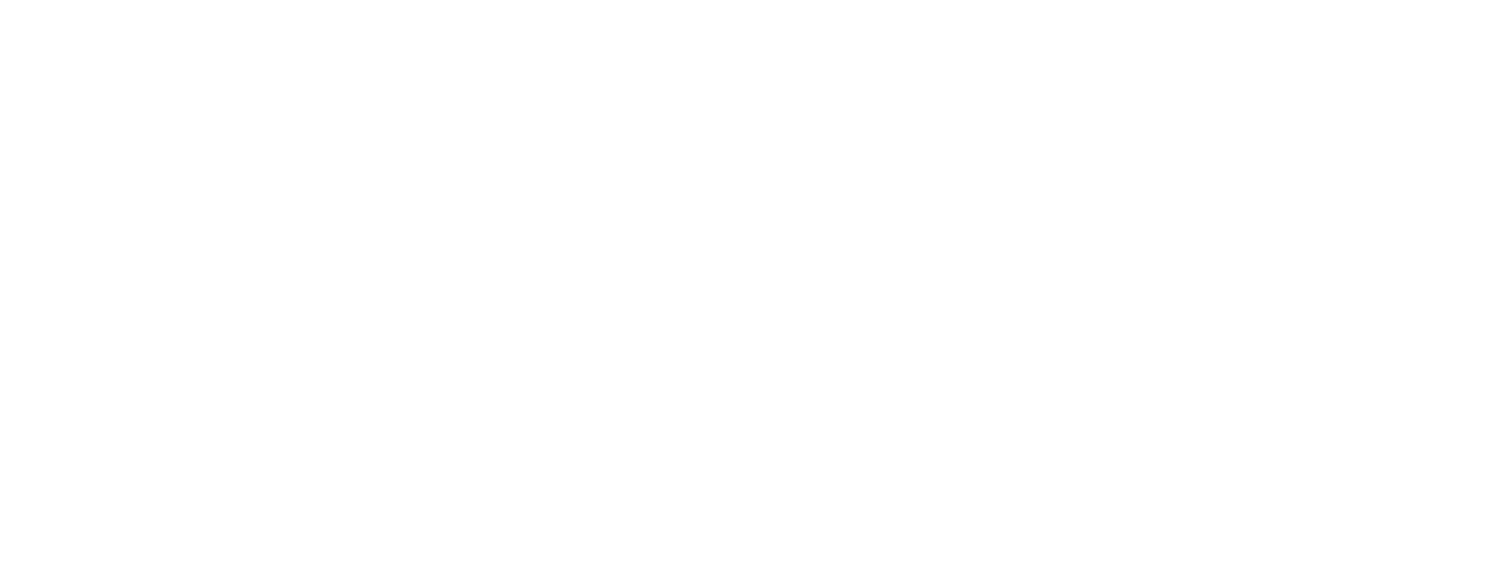 Logo viaschile