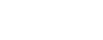 Logo wizelin
