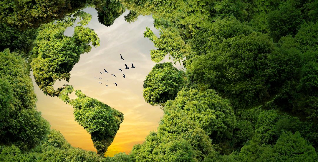 Comunicación de la estrategia ESG: cómo aprovechar el Día del Medioambiente